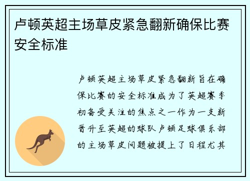 卢顿英超主场草皮紧急翻新确保比赛安全标准