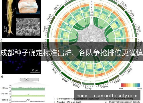 成都种子确定标准出炉,各队争抢排位更谨慎 成都种子确定标准出炉,各队争抢排位更谨慎